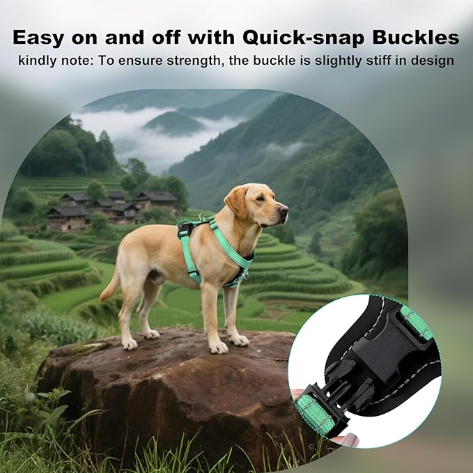 Plutus Pet Adjustable No Pull Dog Harness with Leather Accents, Heavy Duty Reflective Nylon Vest for Training, Hiking, Easy Walk Harness for Small, Medium, Large Dogs (Teal, M)