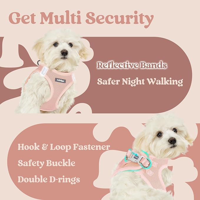 rabbitgoo Small Dog Harness, Step-in Soft Mesh Puppy Vest with Safety Buckle, Breathable Reflective Pet Harness for Extra Small Dogs, Pink XXS