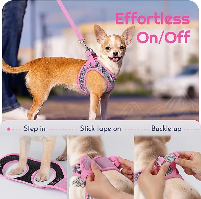 Eagloo Small Dog Harness and Leash Set, Step in Puppy Vest with Breathable Soft Mesh, Walking Reflective Pet Harness for Extra Small Dogs, Pink, XXS