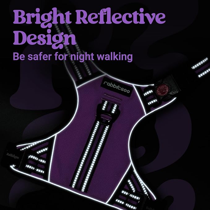 rabbitgoo Dog Harness Small Sized Dog, No Pull Pet Harness with Soft Padded Handle, Adjustable Reflective Vest with 3 Buckles, Easy Walking Harness with 2 Leash Clips, Purple, S
