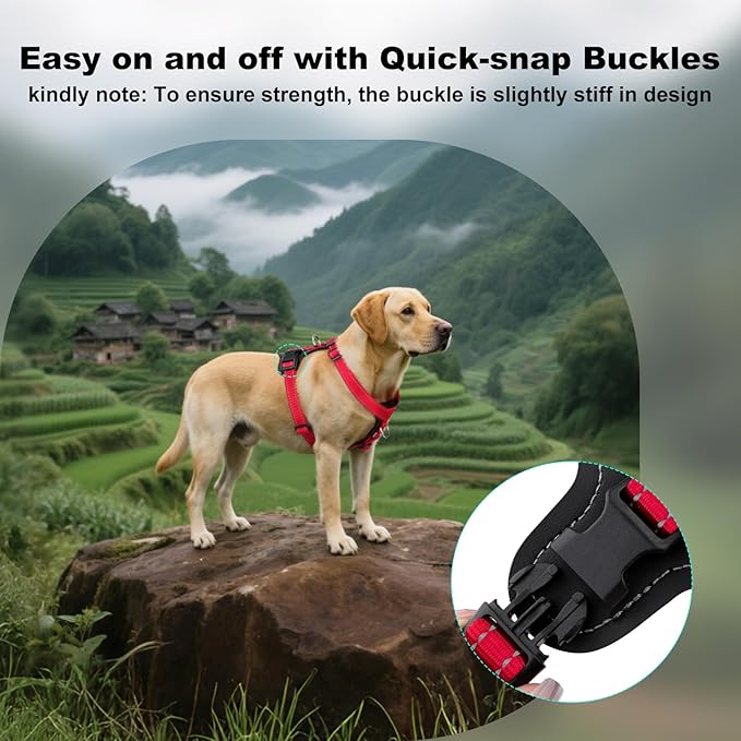 Plutus Pet Adjustable No Pull Dog Harness with Leather Accents, Heavy Duty Reflective Nylon Vest for Training, Hiking, Easy Walk Harness for Small, Medium, Large Dogs (Red, M)