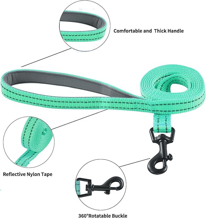Dog Harness and Leash Set, No Pull Soft Mesh Puppy Harness for Small Medium Dogs, Cats - Step in Reflective Breathable Lightweight Vest Harness for Walking, Training - Green, L