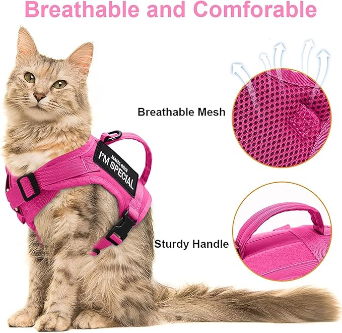 Forestpaw Cat Harness Escape Proof for Walking,Adjustable Cat Vest Harness with Soft Mesh Padded,Tactical Cat Harness with Control Handle,Molle Patches,Hot Pink