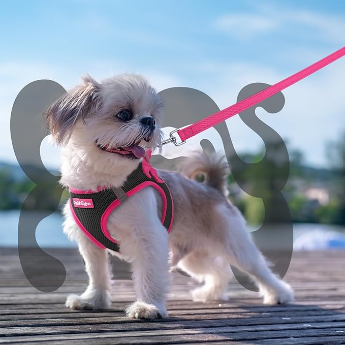 rabbitgoo Dog Harness Small Sized and Leash Set, Step-in Breathable Pet Harness, Soft Walking Reflective Puppy Vest for Small Dogs, Black & Rose Red, XXS