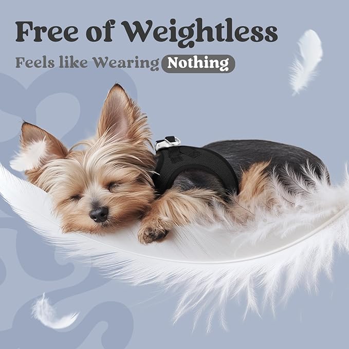 rabbitgoo Small Dog Harness, Step-in Soft Mesh Puppy Vest with Safety Buckle, Breathable Reflective Pet Harness for Small Medium Dogs, Black L