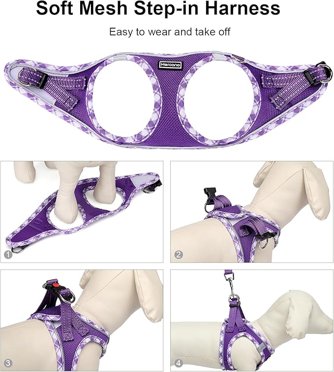 Mercano Soft Mesh Dog Harness and Leash Set, No-Chock Step-in Reflective Breathable Lightweight Easy Walk Vest Harnesses with Safety Buckle for Small Dogs, Cats (M, Purple)