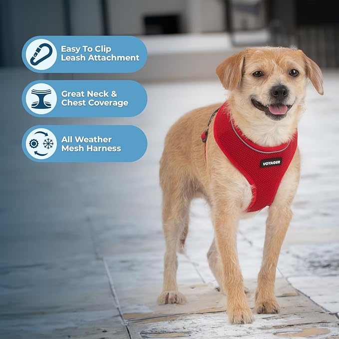 Best Pet Supplies Voyager Aerolite No Pull Mesh Dog Harness, Reflective Stitching, Breathable Harness, Adjustable for Walking, Training, Running, Heavy Duty and Durable, Red, XL