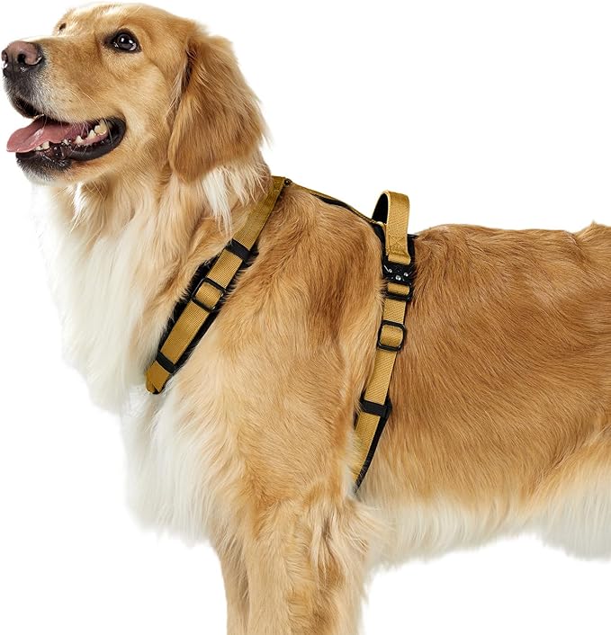 PawsPassion Dog Harness for X-Large Dogs, No Pull Dog Harness Easy Walk with Metal Hardware, Ergonomic Y-Shaped Design, Soft Padding, Padded Handle, Durable High-Tensile Nylon (Sunrise, XL)