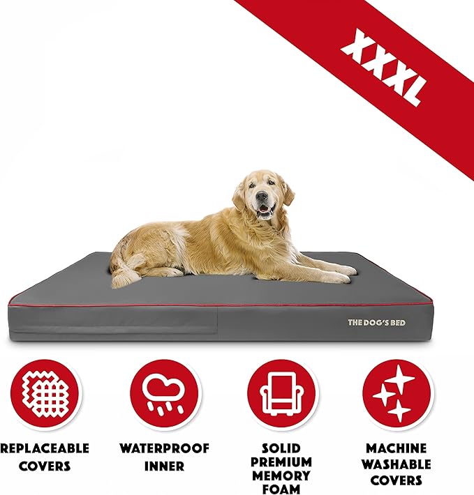 The Dog’s Bed Orthopedic Memory Foam Dog Bed, XXXL Grey/Red 64x44, Pain Relief for Arthritis, Hip & Elbow Dysplasia, Post Surgery, Lameness, Supportive, Calming, Waterproof Washable Cover