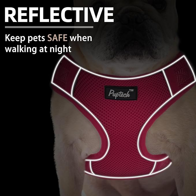 PUPTECK Small Dog Harness and Leash Set, No Pull Adjustable Puppy Cat Harness, Reflective Soft Mesh Pet Vest Small Sized