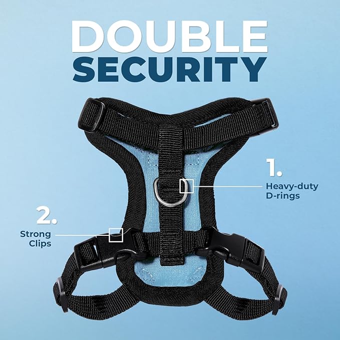 Voyager Step-in Lock Adjustable Cat Harness w. Cat Leash Combo Set with Neoprene Handle 5ft - Supports Small, Medium and Large Breed Cats by Best Pet Supplies - Baby Blue/Black Trim, XS