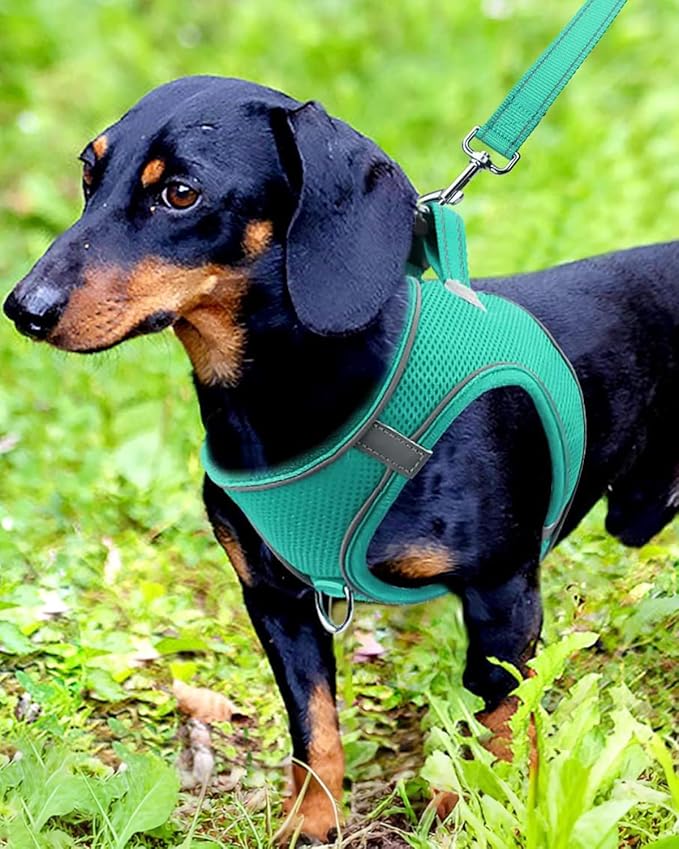 Joytale Small Dog Harness, Breathable Mesh Step-in Vest, Reflective Soft Padded Harnesses for Small and Medium Dogs, Teal, M