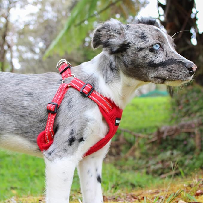 Best Pet Supplies Voyager Adjustable Dog Vest Harness Breathable No Pull Harness for Small, Medium, Large Dogs, Harness for Walking, Jogging, Easy Step-in, Reflective Stripes - Red, XL