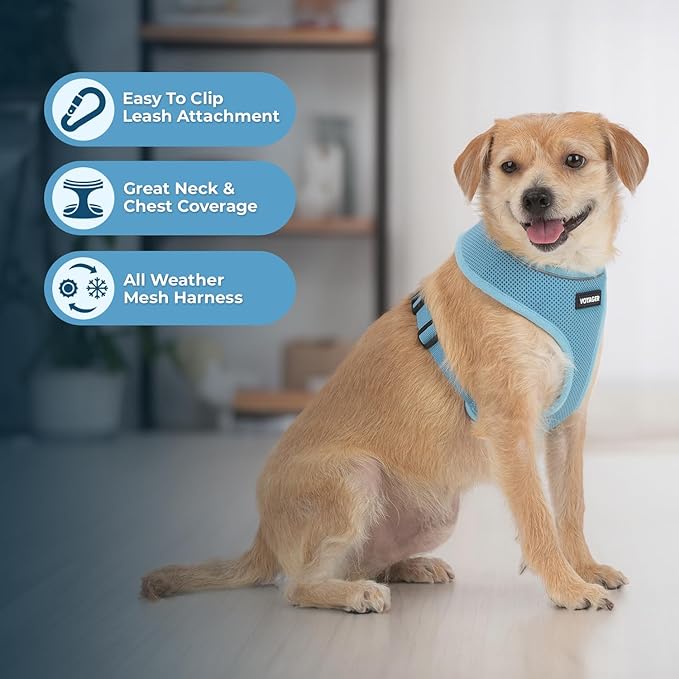 Best Pet Supplies Voyager Aerolite No Pull Mesh Dog Harness, Reflective Stitching, Breathable Harness, Adjustable for Walking, Training, Running, Heavy Duty and Durable, Baby Blue, XL
