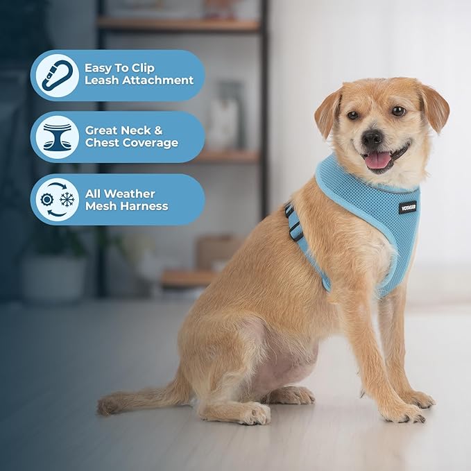 Best Pet Supplies Voyager Aerolite No Pull Mesh Dog Harness, Reflective Stitching, Breathable Harness, Adjustable for Walking, Training, Running, Heavy Duty and Durable, Baby Blue, XS