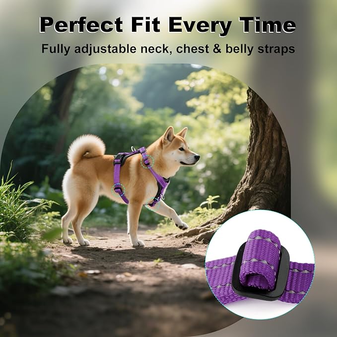 Plutus Pet Adjustable No Pull Dog Harness with Leather Accents, Heavy Duty Reflective Nylon Vest for Training, Hiking, Easy Walk Harness for Small, Medium, Large Dogs (Purple, S)