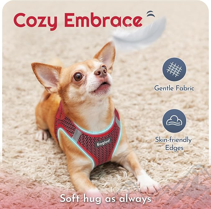 Eagloo Small Dog Harness and Leash Set, Step in Puppy Vest with Breathable Soft Mesh, Walking Reflective Pet Harness for Medium Small Dogs, Red, M