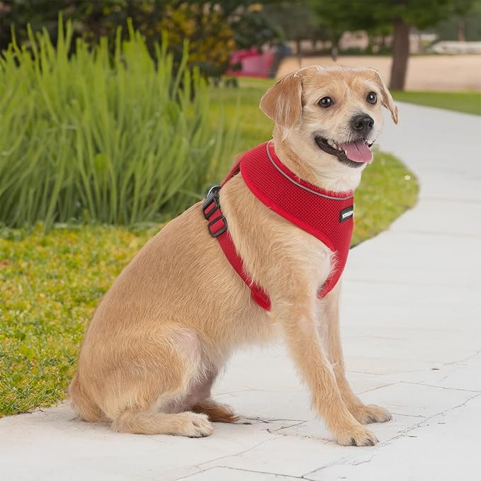 Best Pet Supplies Voyager Aerolite No Pull Mesh Dog Harness, Reflective Stitching, Breathable Harness, Adjustable for Walking, Training, Running, Heavy Duty and Durable, Red, XL