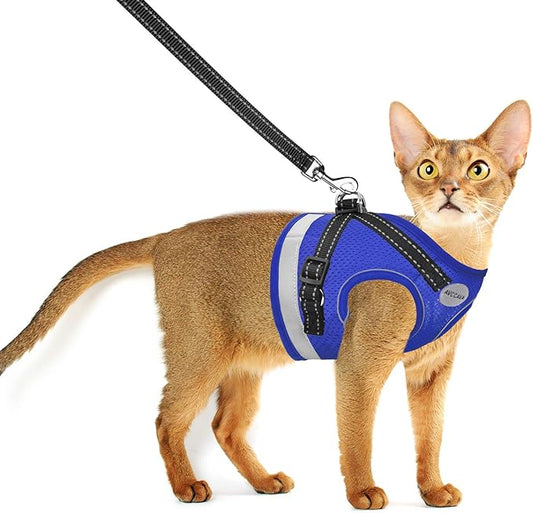 Cat Harness and Leash for Walking, Kitten Escape Proof Harnesses, Adjustable Reflective Puppy Harness with Leashes Set, Easy Adjustable Soft net Breathable Pet Safety Vest