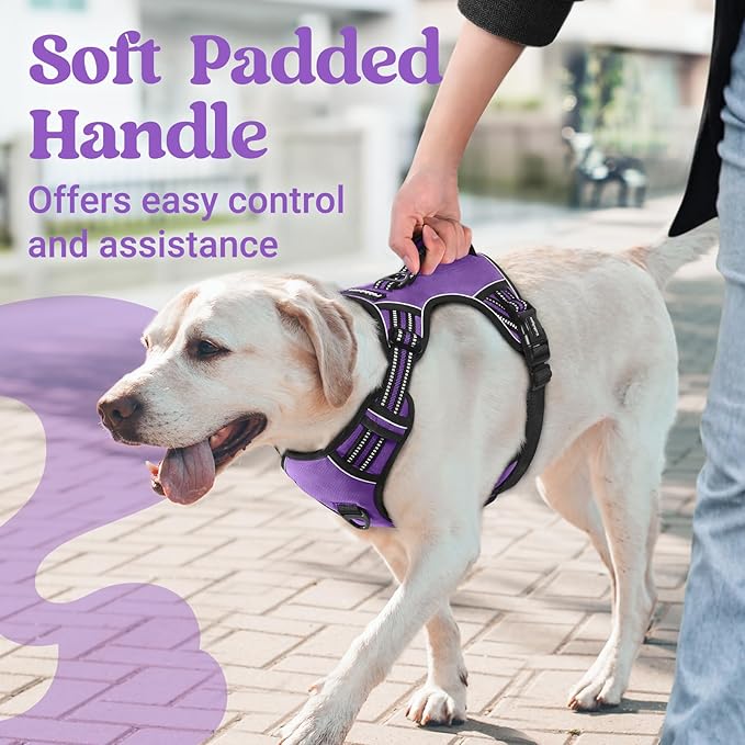 rabbitgoo Dog Harness Small Sized Dog, No Pull Pet Harness with Soft Padded Handle, Adjustable Reflective Vest with 3 Buckles, Easy Walking Harness with 2 Leash Clips, Purple, S