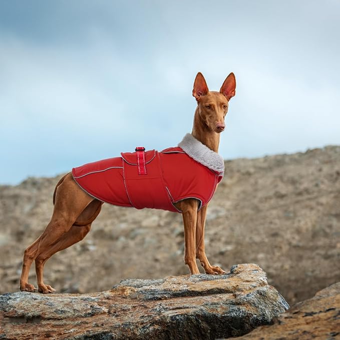 Lelepet Warm Dog Coat - Reflective Waterproof Fleece Vest with Adjustable Buckle Hook & Loop, Windproof Winter Jacket Dog Coats for Small Medium Large Dogs, Red, XL
