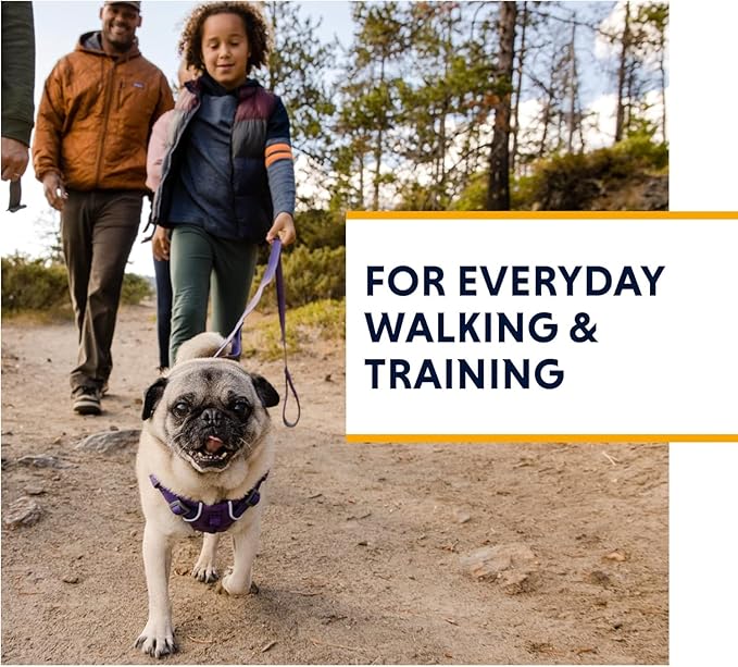 Ruffwear, Front Range Dog Harness, Reflective Soft Padded Everyday Harness with Dual Leash Clips, Adjustable and Lightweight Fit for Training or Walking for All Dogs, Red Clay, Small