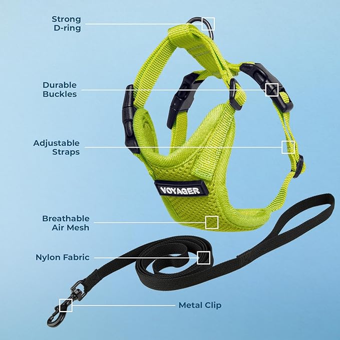 Voyager Step-in Lock Adjustable Cat Harness w. Cat Leash Combo Set with Neoprene Handle 5ft - Supports Small, Medium and Large Breed Cats by Best Pet Supplies - Lime Green, XXS