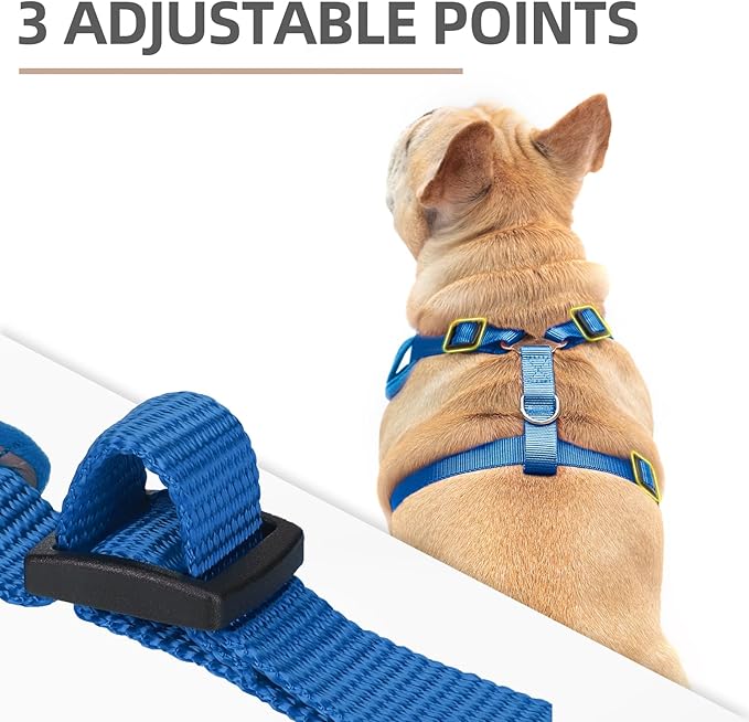 PUPTECK Small Dog Harness and Leash Set, No Pull Adjustable Puppy Cat Harness, Reflective Soft Mesh Pet Vest Small Sized