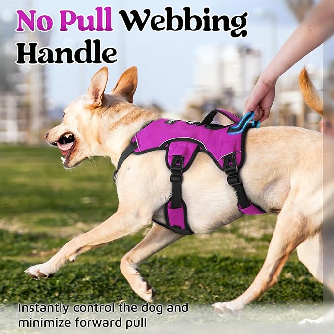rabbitgoo Escape Proof Dog Harness, Soft Padded Full Body Pet Harness, Reflective Adjustable No Pull Vest with Lift Handle and Leash Clip for Large Dogs Walking Hiking Training, M, Purple