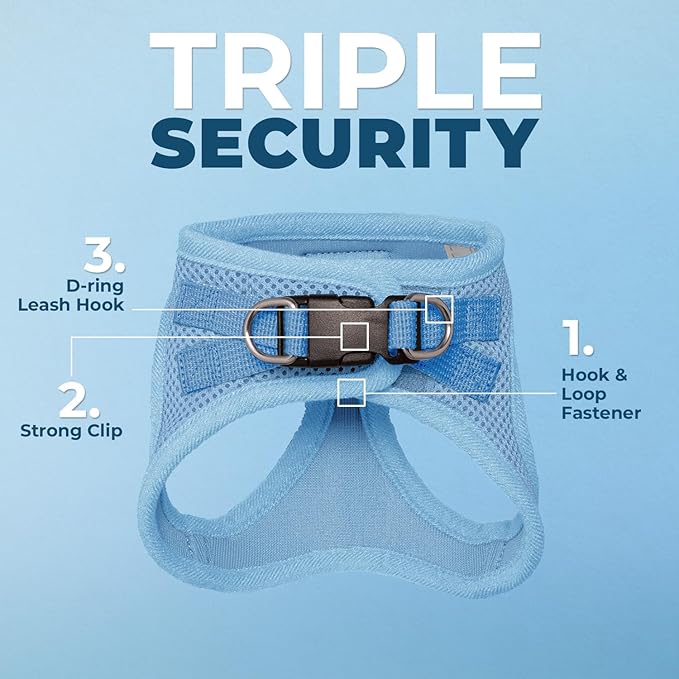 Voyager Step-in Air Cat Leash Harness Set - All Weather Mesh, Step in Vest Harness for Small and Large Cats by Best Pet Supplies - Baby Blue, S (Chest 14-16")