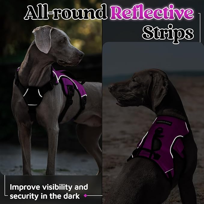 rabbitgoo Escape Proof Dog Harness, Soft Padded Full Body Pet Harness, Reflective Adjustable No Pull Vest with Lift Handle and Leash Clip for Large Dogs Walking Hiking Training, XL, Purple