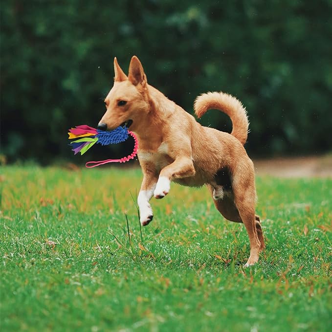 wodoca Dog Tug Toy, Dog Toys for Aggressive Chewers - Strong Squeak Rope Toy, Easy to GRAP Chew Toy for Large Dogs, Puppies, Middle Dogs - Ideal for Training and Play, Hand Made