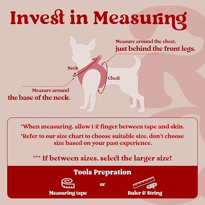 rabbitgoo Small Dog Harness, Step-in Soft Mesh Puppy Vest with Safety Buckle, Breathable Reflective Pet Harness for Small Sized Dogs, Red XS