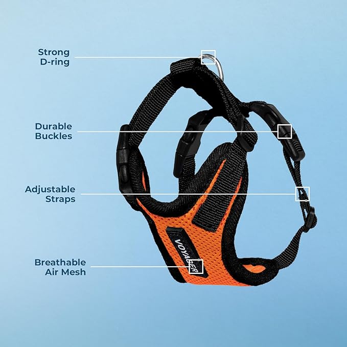 Voyager Step-in Pet Harness - All Weather Mesh, Adjustable Step in Harness for Cats and Dogs by Best Pet Supplies - Orange/Black Trim, L