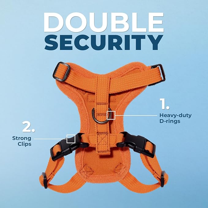 Voyager Step-in Lock Adjustable Cat Harness w. Cat Leash Combo Set with Neoprene Handle 5ft - Supports Small, Medium and Large Breed Cats by Best Pet Supplies - Orange, XXS
