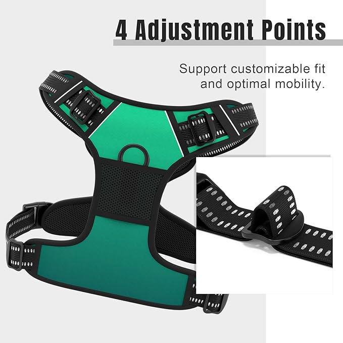 Rnivvi No Pull Dog Harness, Cute Reflective Large Sized Puppy Harness, Adjustable Soft Padded Vest for Large Dogs, Heavy Duty Pet Vest with Easy Control Handle for Walking Training, Gradient Green