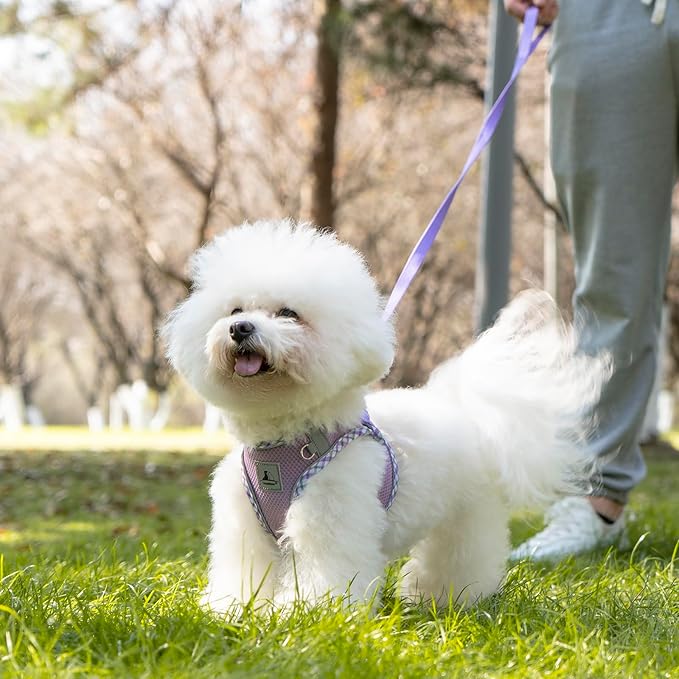Dog Harness & Leash Set - No Pull Soft Breathable Small Dog Harness, Adjustable Reflective Step-in Vest for Puppy, Kitten, Cats