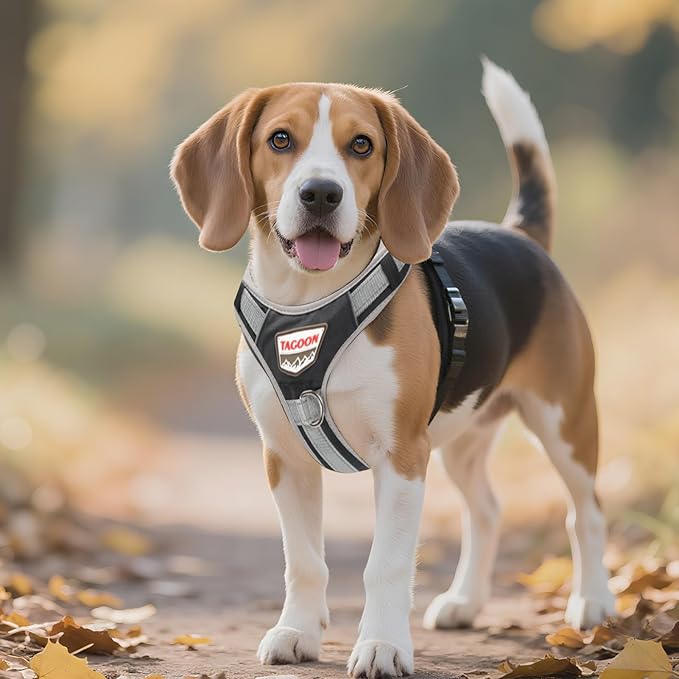 Adjustable Dog Vest Harness, No Pull Vest with Handle, Training for Walking, Running, Medium Size Fits Neck 18-21 Inch and Chest 20-26 Inch, Black, M