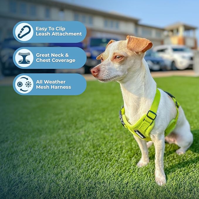 Best Pet Supplies Voyager Step-in Air Harness - All Weather Mesh, Reflective, No Pull Harness for Dogs, Cats - Secure with Hook & Loop Fastener, Buckle, Double D-Rings - Lime Green, XXXS