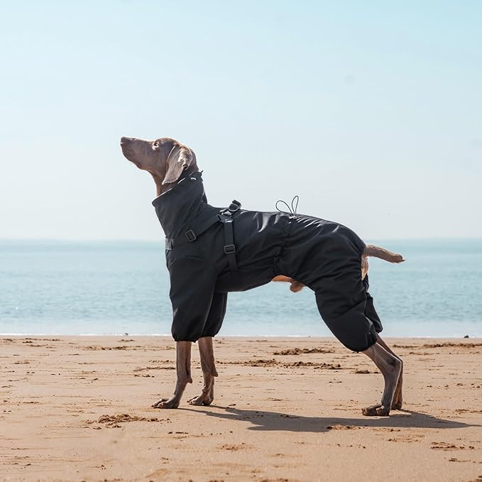 Dog Raincoat with Harness for Medium and Large Dogs, Adjustable Waterproof Dog Rain Jacket,Reflective Rainproof Puppy 4 Legs Raincoat-Black,5XL