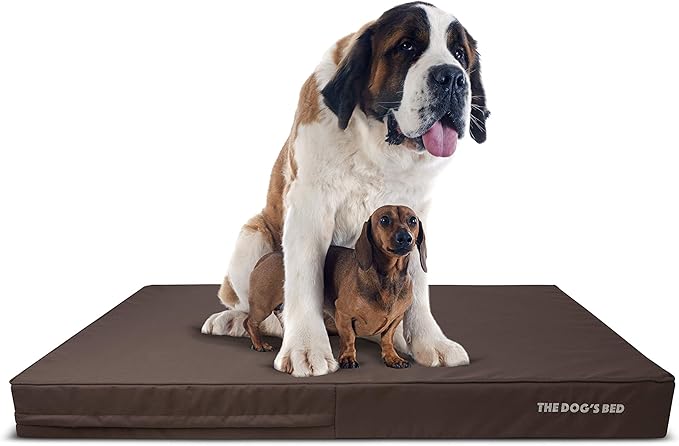 The Dog’s Bed Orthopedic Memory Foam Dog Bed, XXXL Grey/Black 64x44, Pain Relief for Arthritis, Hip & Elbow Dysplasia, Post Surgery, Lameness, Supportive, Calming, Waterproof Washable Cover