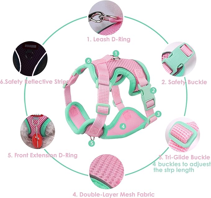Cat Harness and Leash Set for Walking – Escape-Proof Reflective Vest for Cats and Small Dogs, Adjustable Soft Air Mesh with Pressure-Reducing Design, 4.92ft, S, Green & Pink