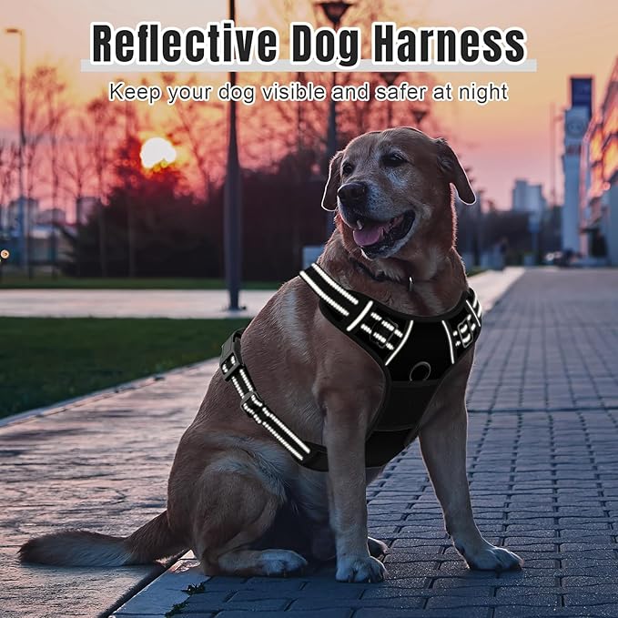 Rnivvi No Pull Dog Harness, Cute Reflective Large Sized Puppy Harness, Adjustable Soft Padded Vest for Large Dogs, Heavy Duty Pet Vest with Easy Control Handle for Walking Training, Black