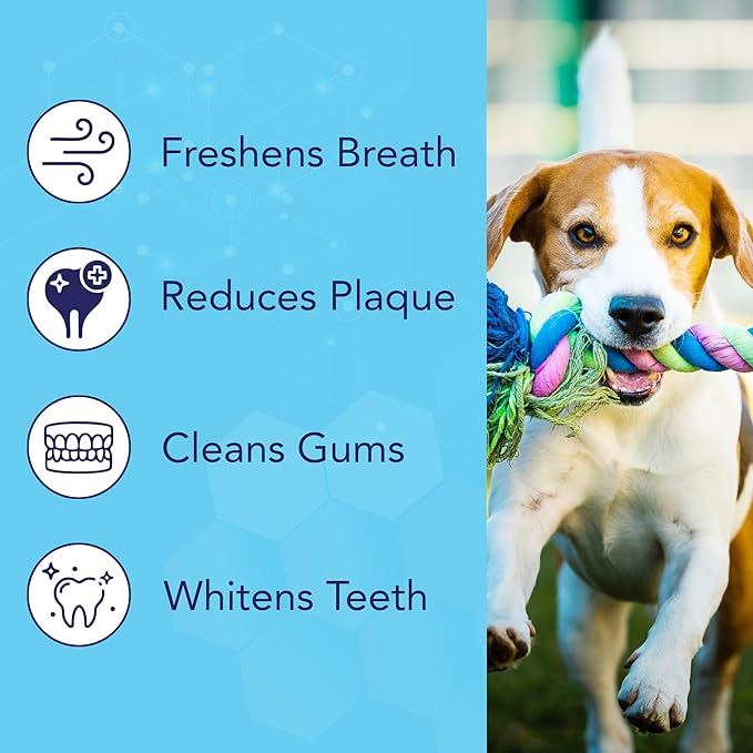 NOVEHA 50PCs Pets Dental Finger Wipes for Dogs & Cats | Freshens Breath, Reduces Plaque | Healthier Gums | Clean Teeth No Toothbrush | Vet Recommended Effective Natural Oral Care | Mint Flavor