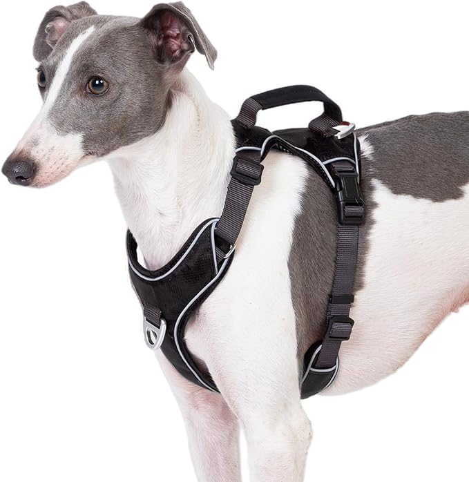 No Pull Dog Harness with Back Control Handle Small Sized, Reflective Vest, Adjustable and Padded, Easy Walker Front/Back Clips (Black, Small)