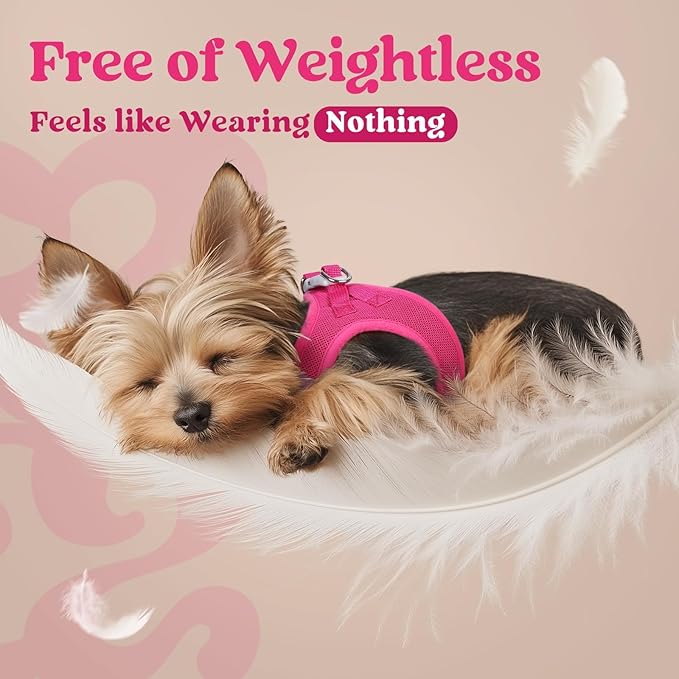 rabbitgoo Small Dog Harness, Step-in Soft Mesh Puppy Vest with Safety Buckle, Breathable Reflective Pet Harness for Large Dogs, Rose Red XXL