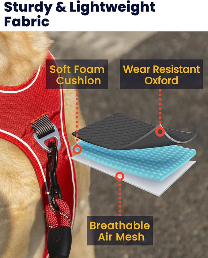 No Pull Dog Harness with 2 Leash Clips, Reflective Vest, Adjustable and Padded, Easy Walk Front/Back Clips (Red, X-Small)