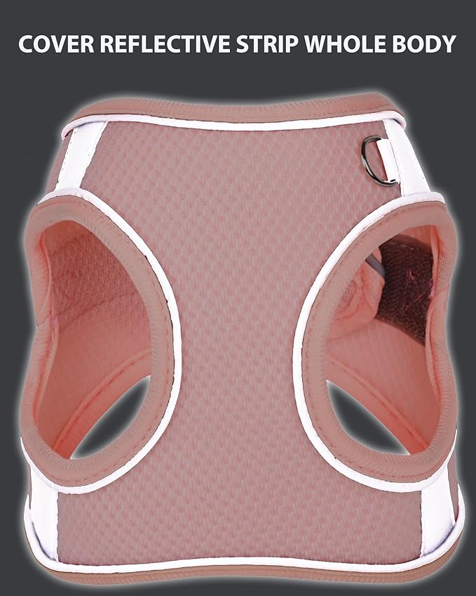 Dog Harness for Small Medium Sized Dog, Step in Puppy Harness and Leash Set Training Walking. (Peach, M)