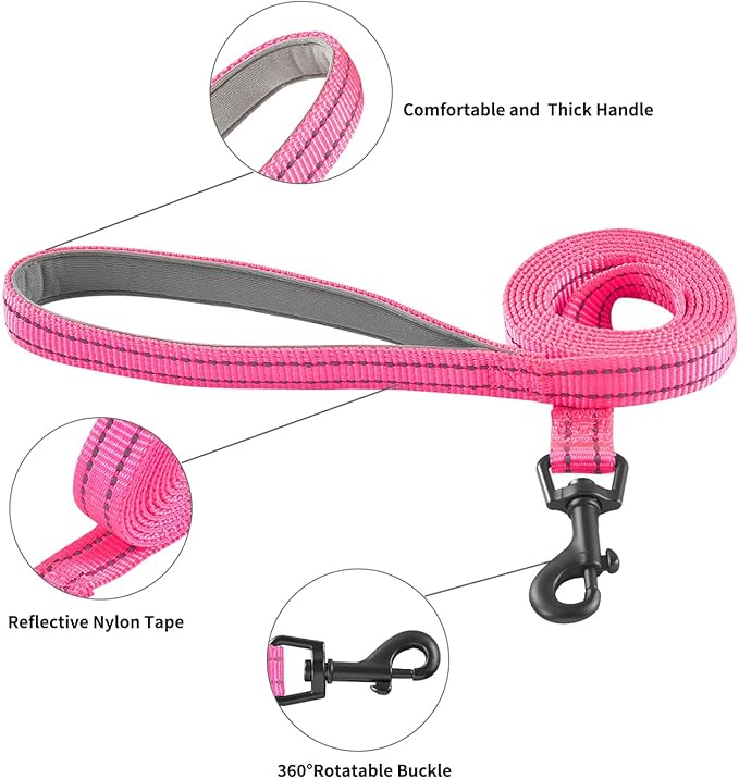 Dog Harness and Leash Set, No Pull Soft Mesh Puppy Harness for Small Medium Dogs, Cats - Step in Reflective Breathable Lightweight Vest Harness for Walking, Training - Rose Red, S
