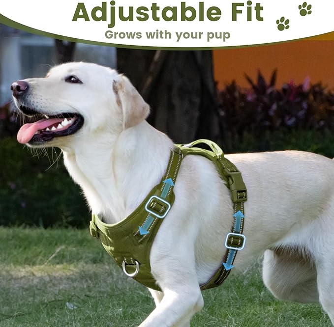 No Pull Dog Harness, Reflective Puppy Vest for Small Medium Large Sized Dog (Misty Green,XS)